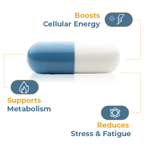 Power for Enhanced Results